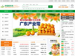 探索藝術與設計的靈感源泉 yiayiayo在ZCOOL站酷的網頁與網站設計精選